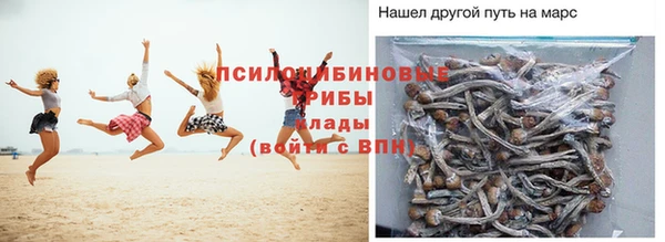 дживик Аркадак