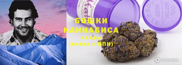 дживик Аркадак