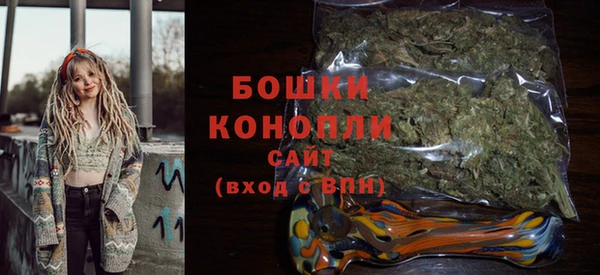 дживик Аркадак