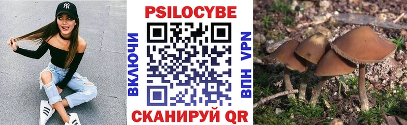цена   Феодосия  Псилоцибиновые грибы MAGIC MUSHROOMS 